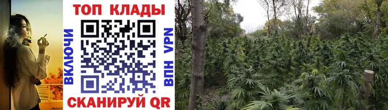 Где продают наркотики Лобня Бошки Шишки Мефедрон СОЛЬ ГАШИШ