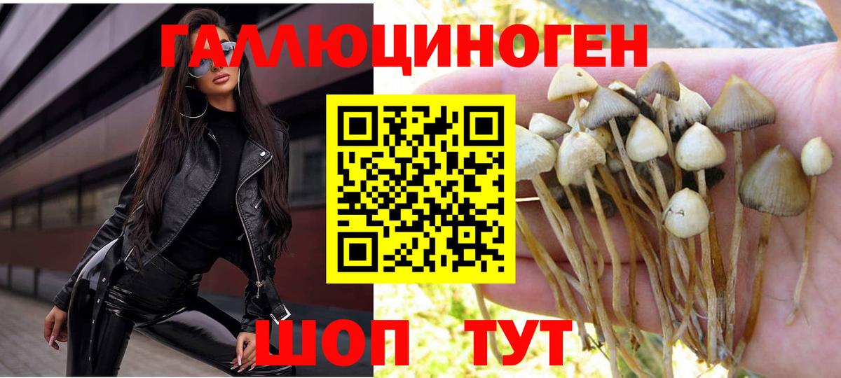 Псилоцибиновые грибы Cubensis  Вход с VPN  где купить   Лобня 