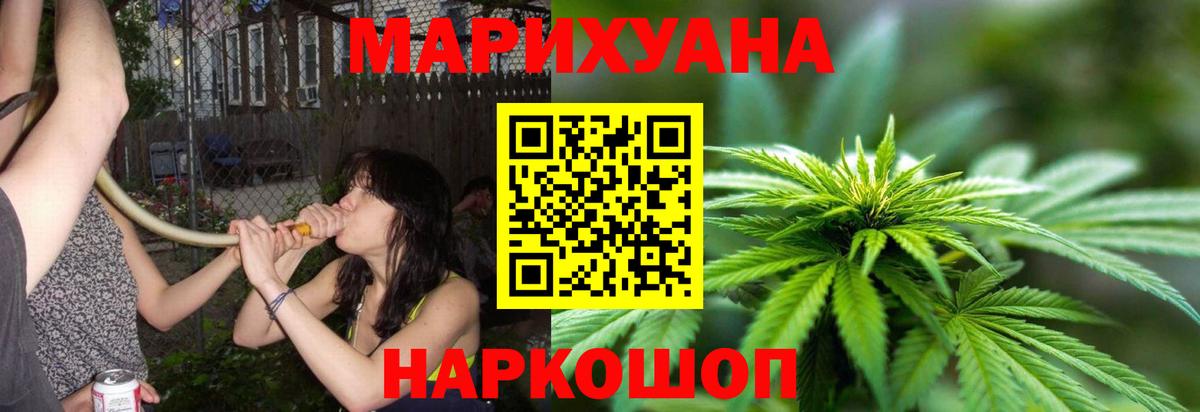 Конопля OG Kush Лобня
